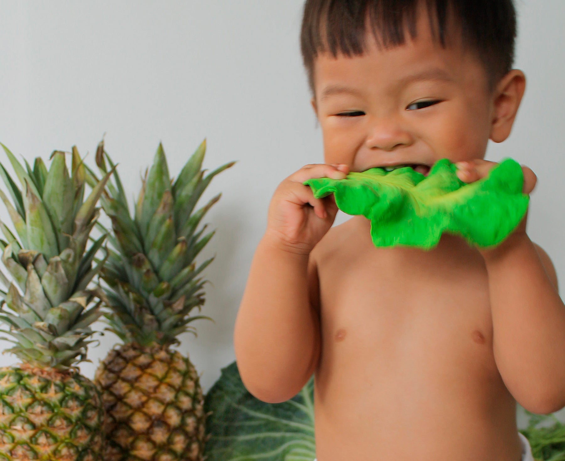 Kale Chewable Toy by Oli & Carol