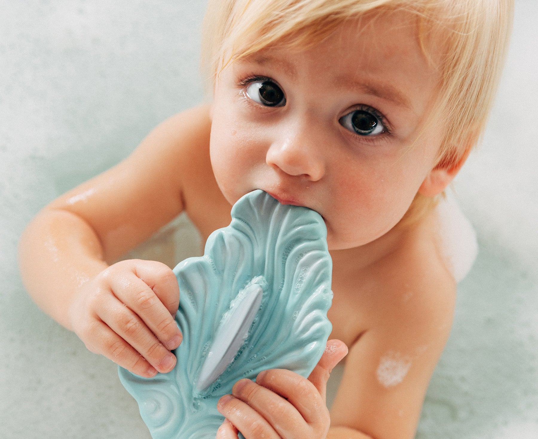 Shark Fin Chewable Toy by Oli & Carol