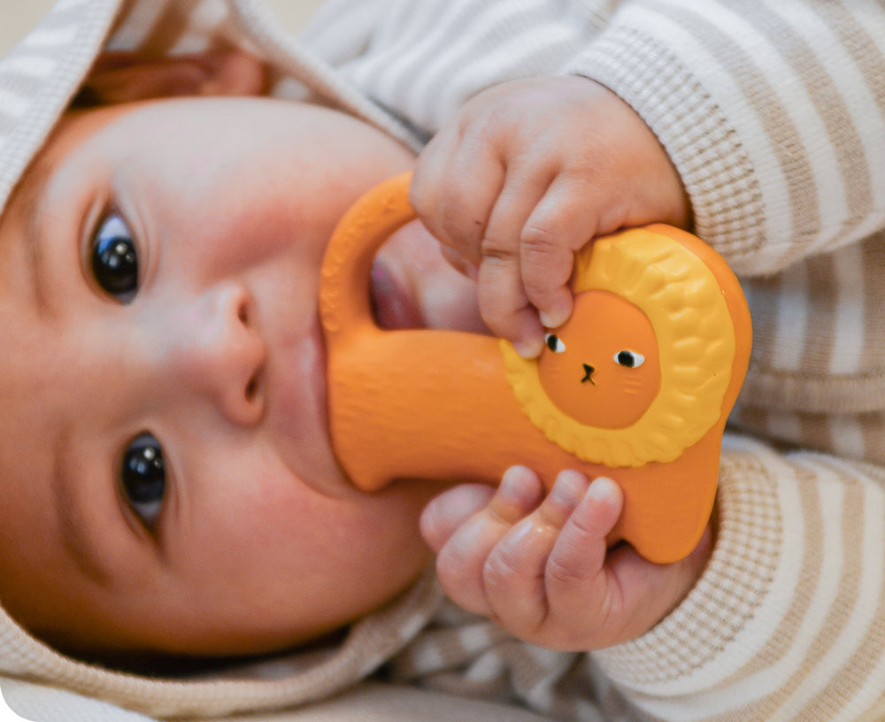 Richie the Lion Chewable Toy by Donna Wilson X Oli & Carol