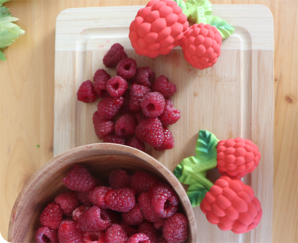 Valery Raspberry Chewable Toy by Oli & Carol
