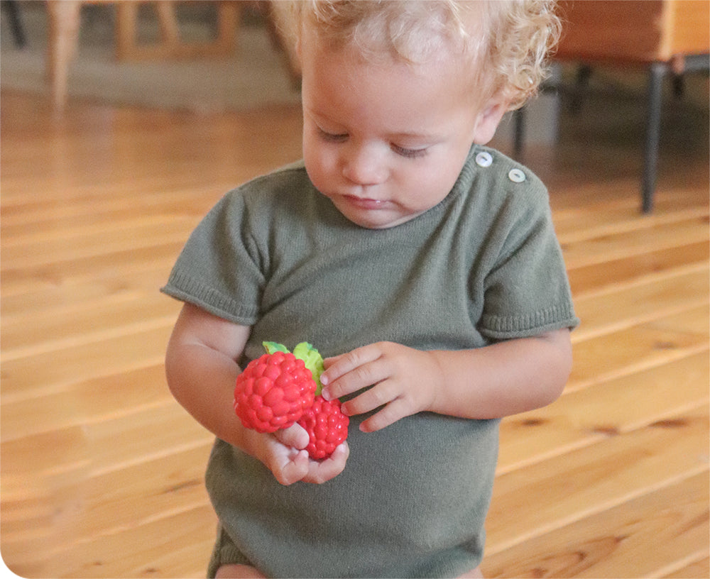 Valery Raspberry Chewable Toy by Oli & Carol
