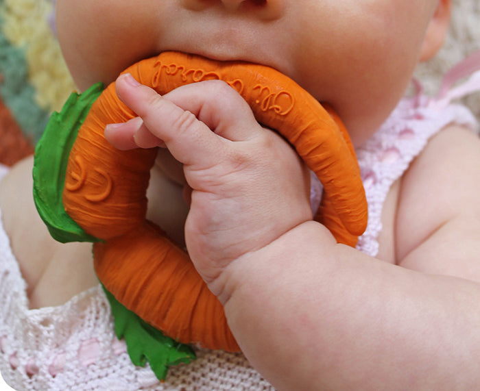 Cathy Carrot Chewable Toy by Oli &amp; Carol