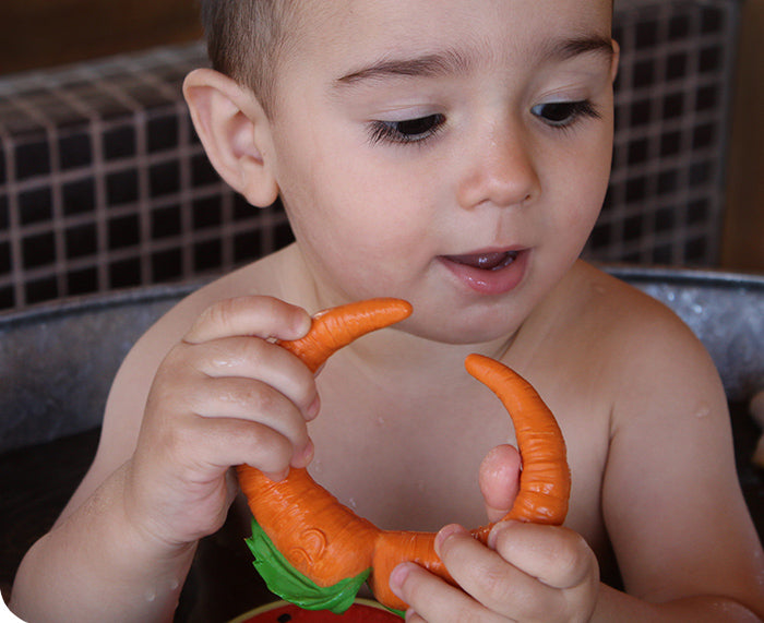 Cathy Carrot Chewable Toy by Oli &amp; Carol