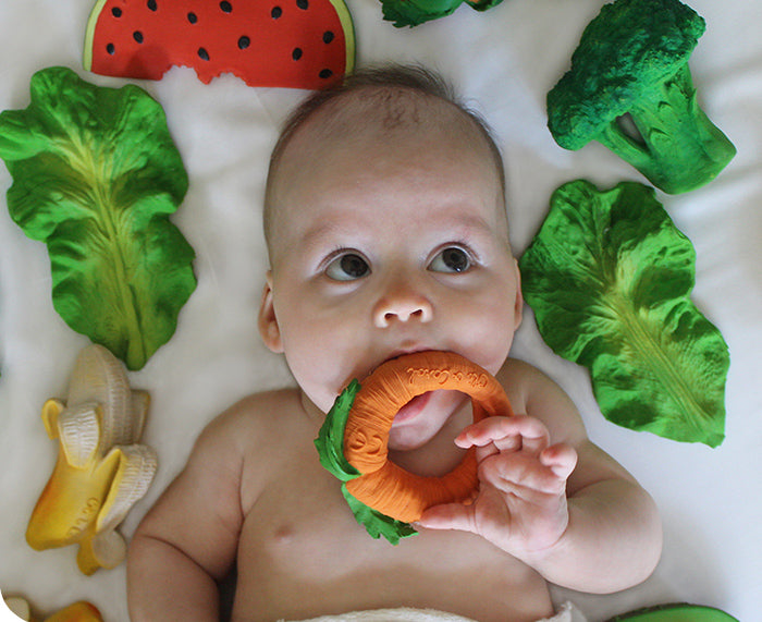 Cathy Carrot Chewable Toy by Oli &amp; Carol