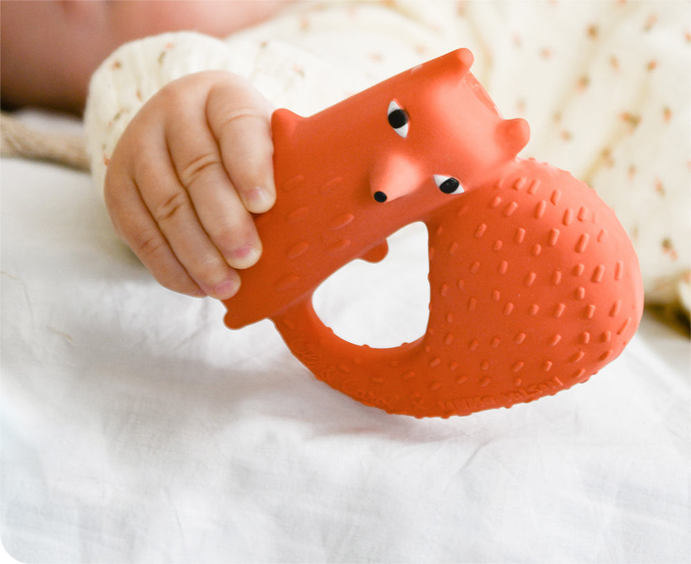 Cyril the Squirrel Fox Chewable Toy by Donna Wilson X Oli &amp; Carol