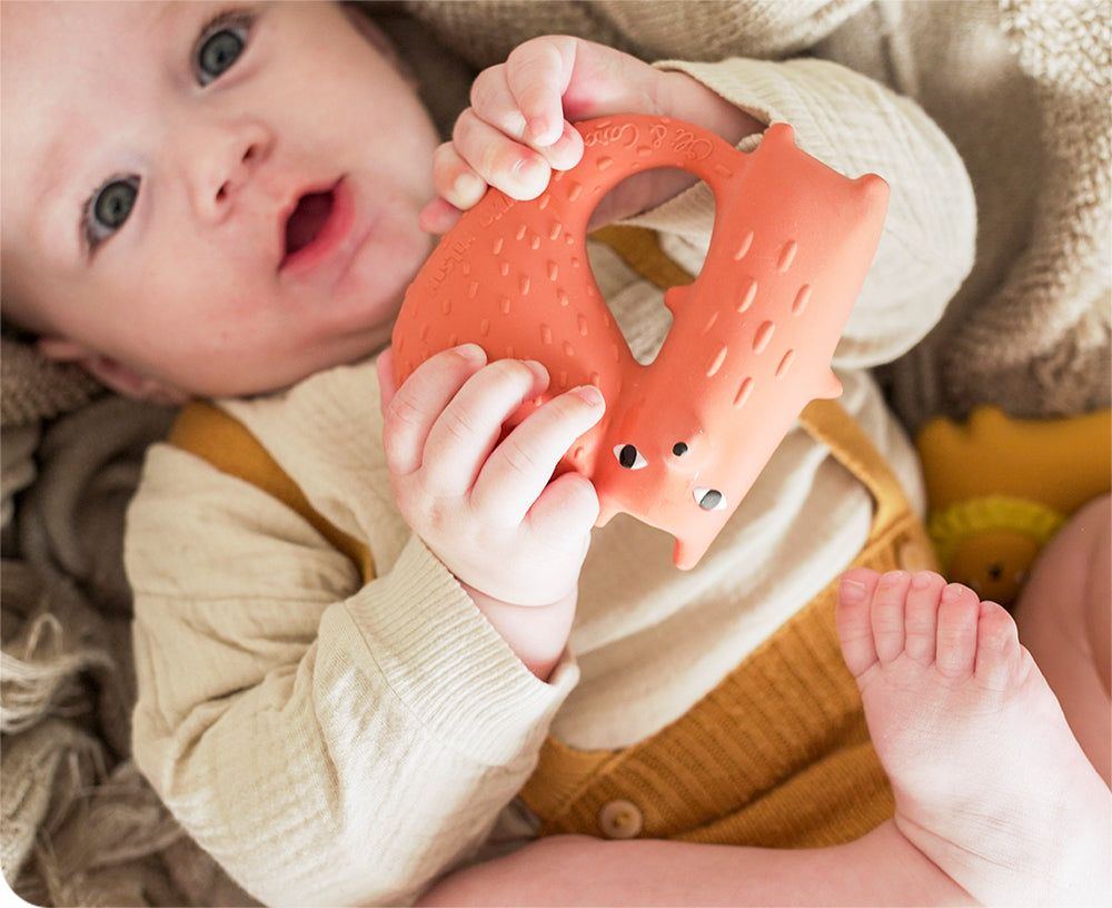 Cyril the Squirrel Fox Chewable Toy by Donna Wilson X Oli &amp; Carol