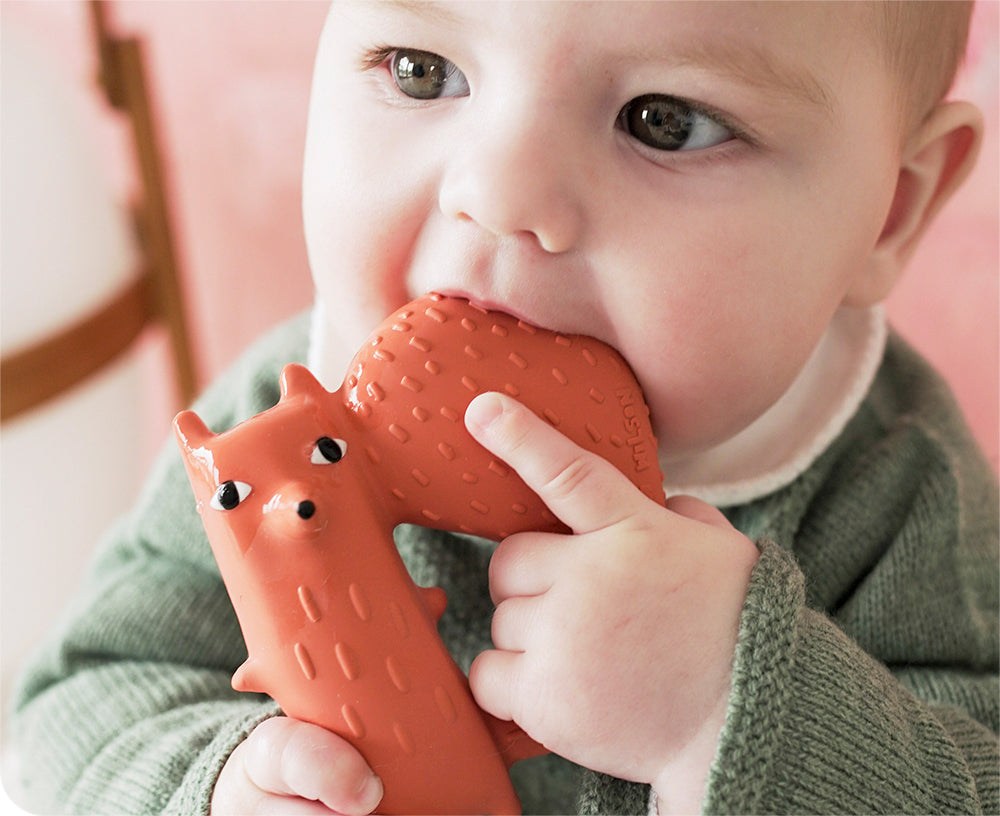 Cyril the Squirrel Fox Chewable Toy by Donna Wilson X Oli &amp; Carol