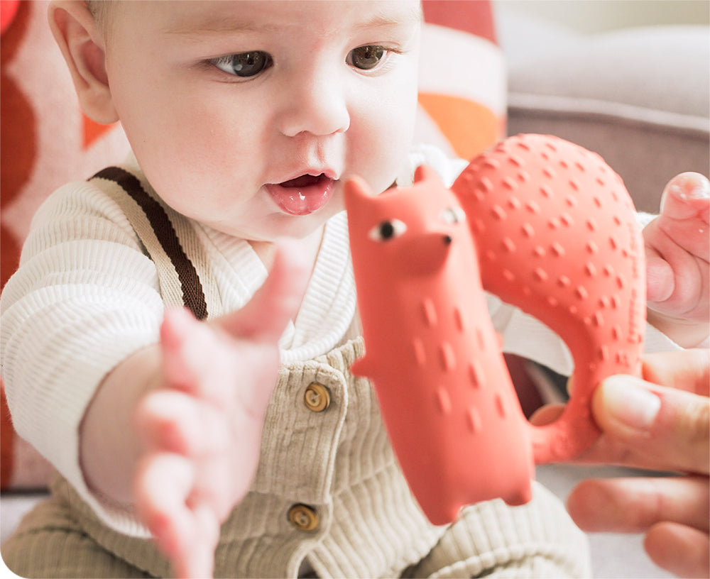 Cyril the Squirrel Fox Chewable Toy by Donna Wilson X Oli &amp; Carol