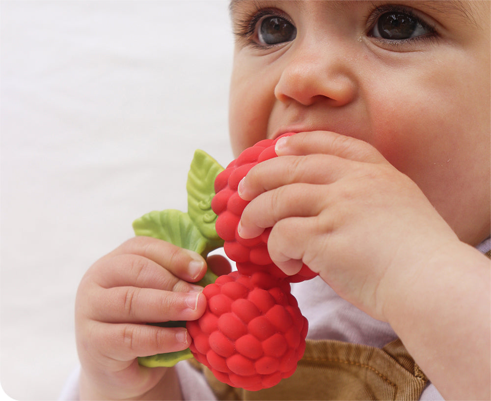 Valery Raspberry Chewable Toy by Oli &amp; Carol